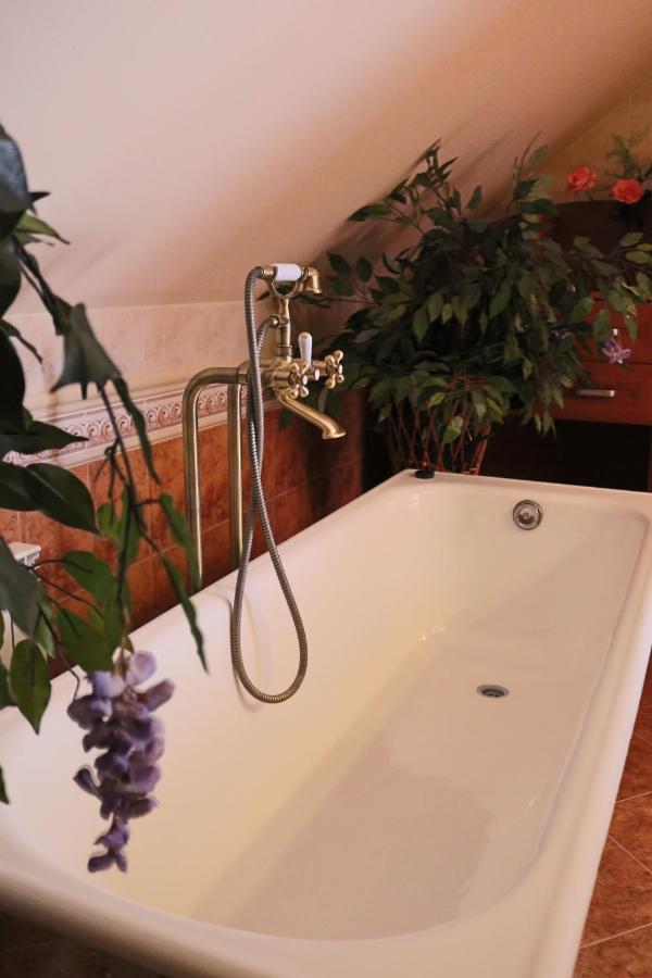 Bed and Breakfast Grand Panorama Wisniowa  Экстерьер фото